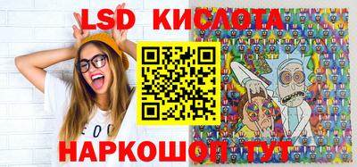 крисы Шахты