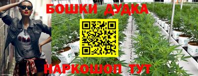 крисы Шахты