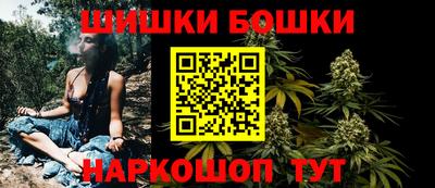 индика Шелехов