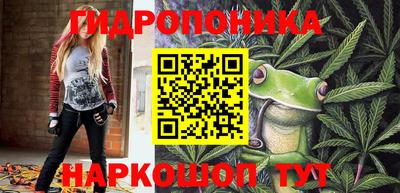 крисы Шахты