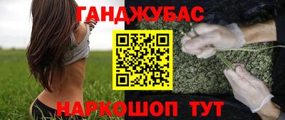 индика Шелехов