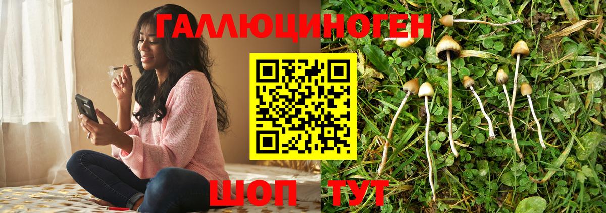 продажа наркотиков  Вход с VPN  Джанкой  Псилоцибиновые грибы Magic Shrooms 